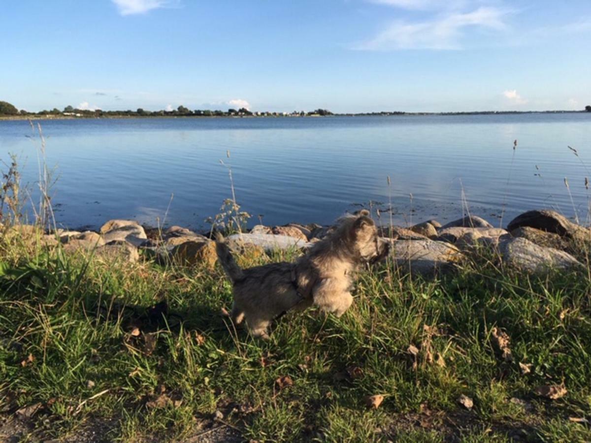 Ferienwohnung Zur Mühle Lemkenhafen auf Fehmarn Exterior foto